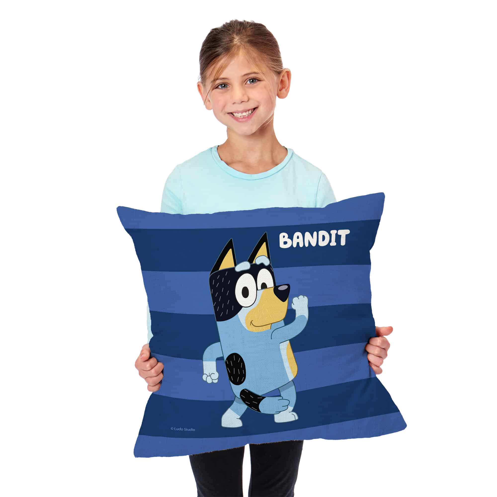 Bluey Roll Call Bandit Throw Pillow 18x18 Inches