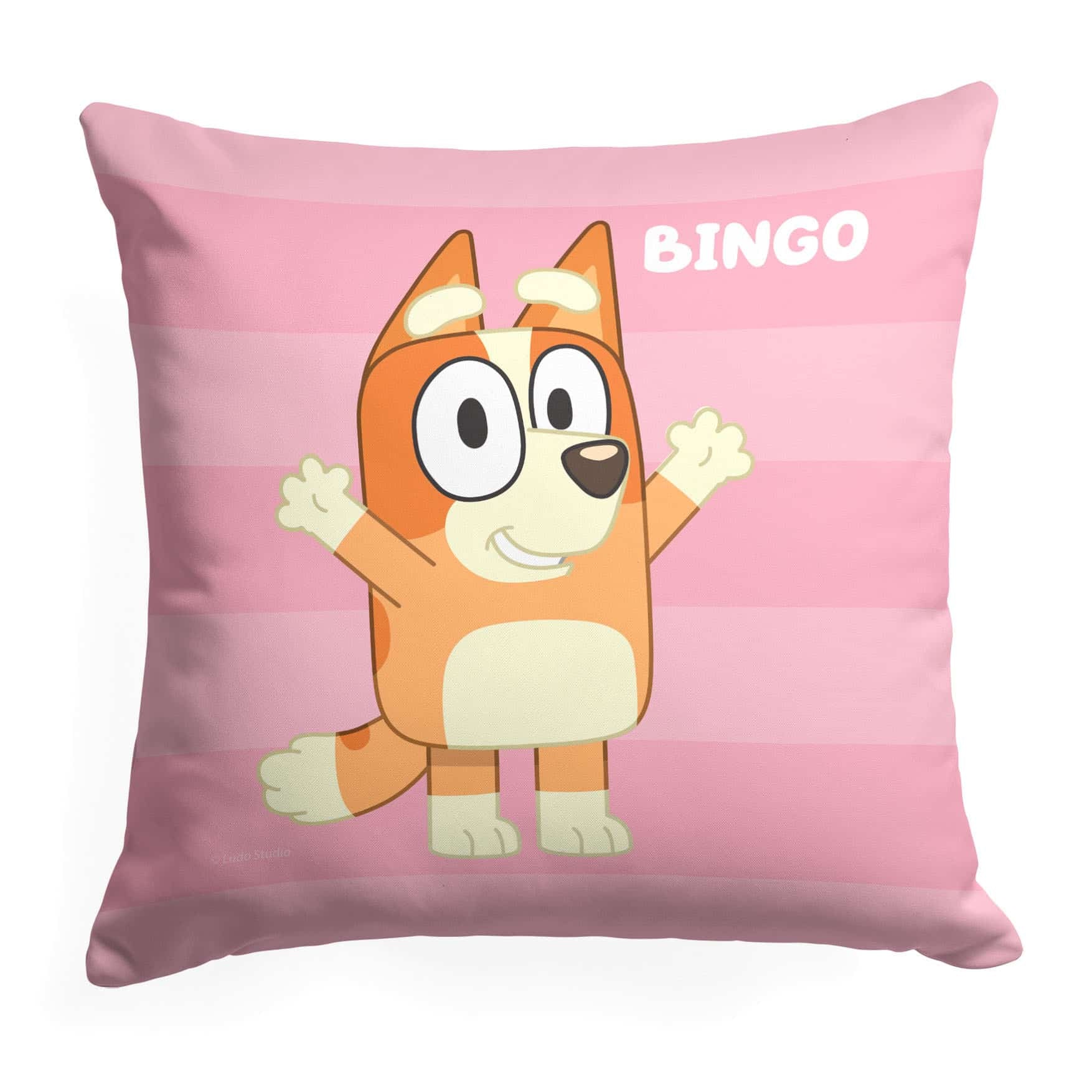 Bluey Roll Call Bingo Throw Pillow 18x18 Inches