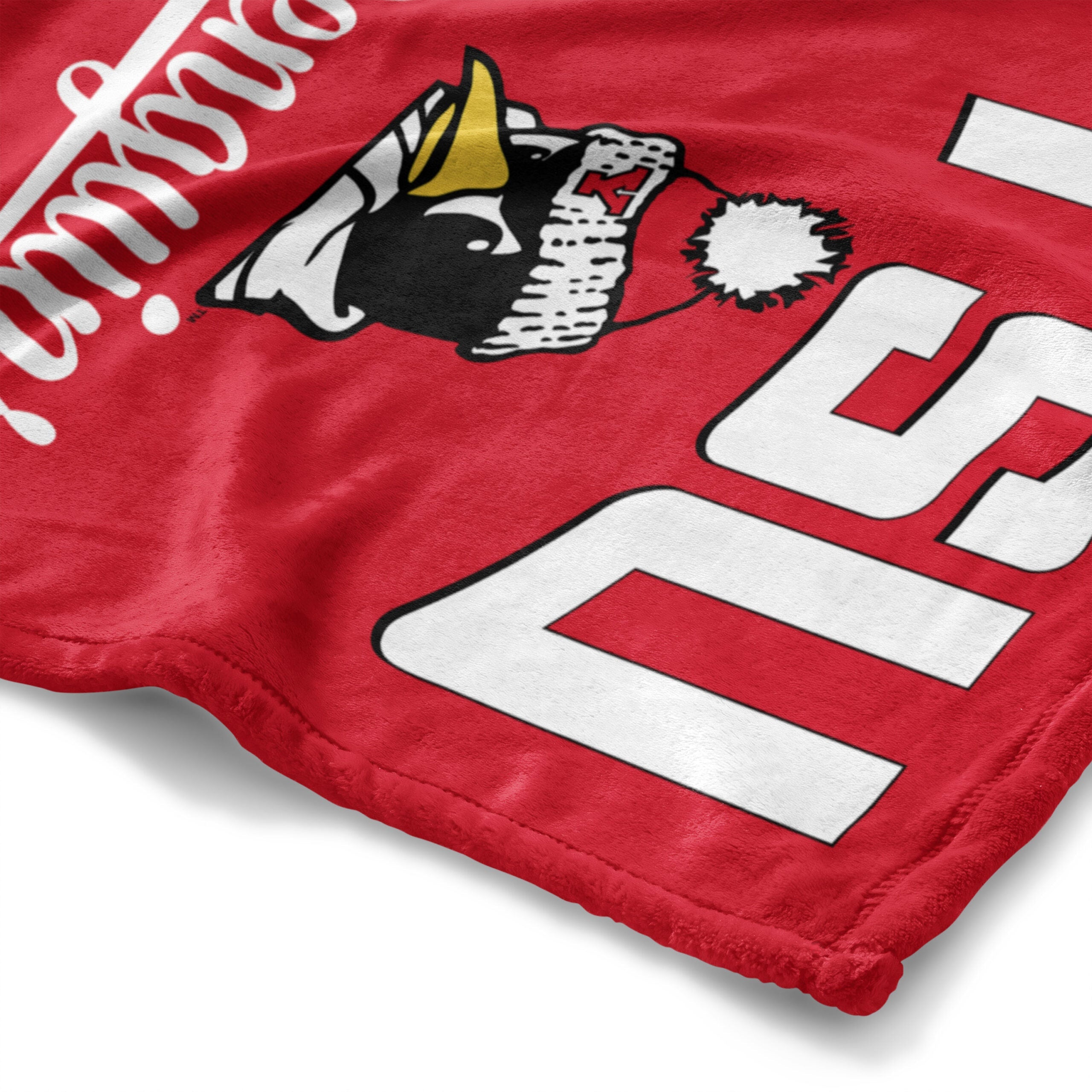 NCAA Youngstown State Penguins Alumni Silk Touch Throw Blanket 50x60 Inches