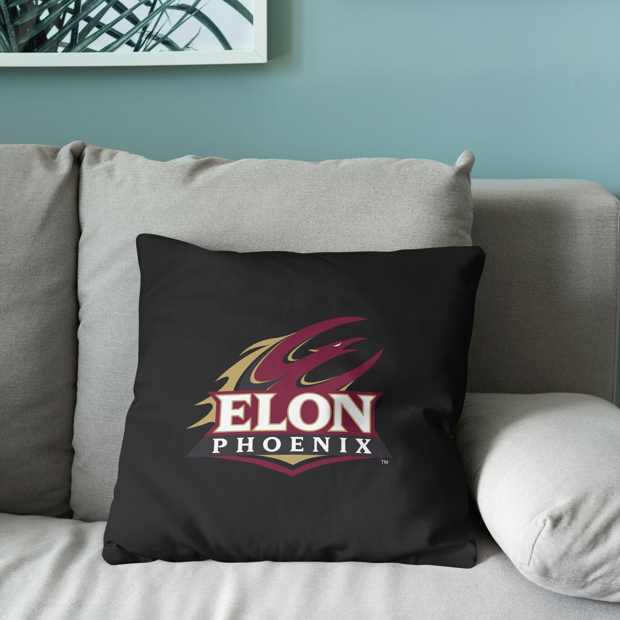 Elon Phoenix Throw Pillow 18x18 Inches