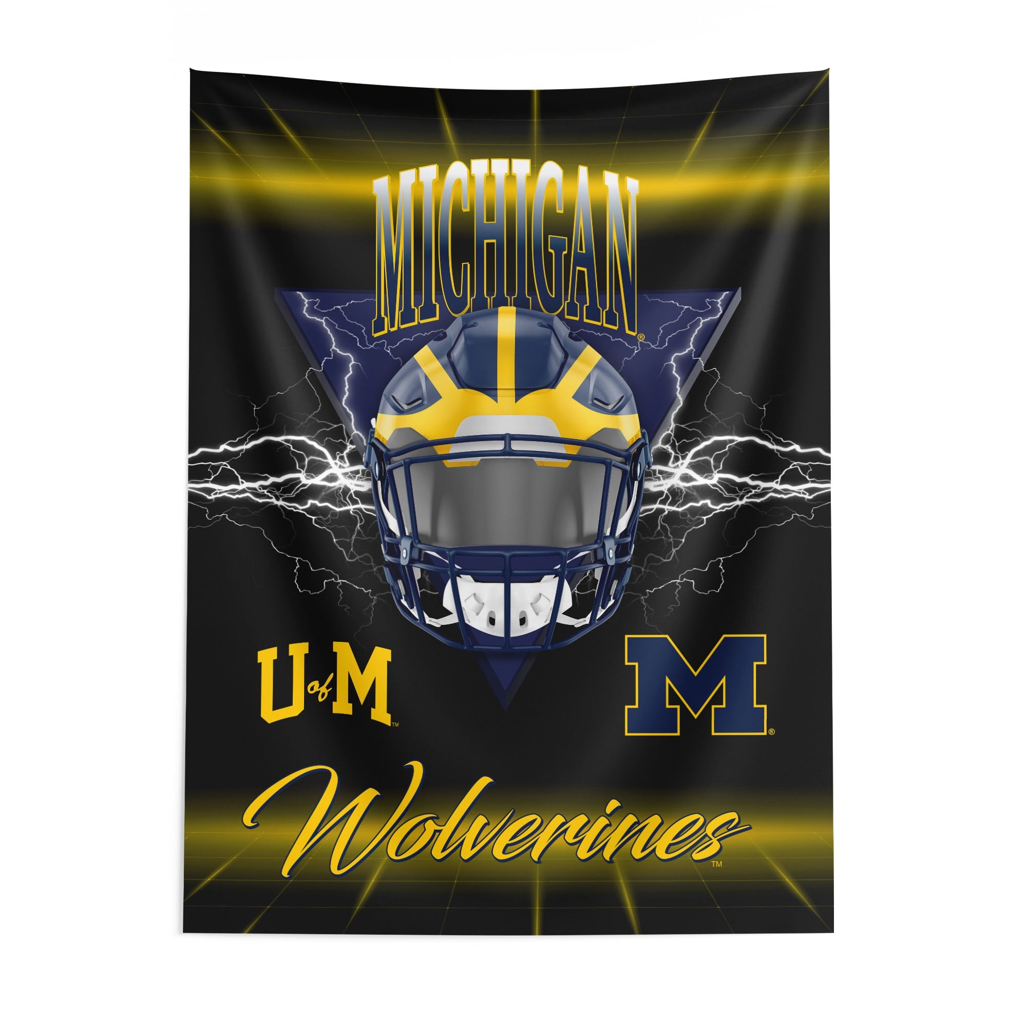 Michigan Wolverines NCAA Electrode Wall Hanging 40x57 inches