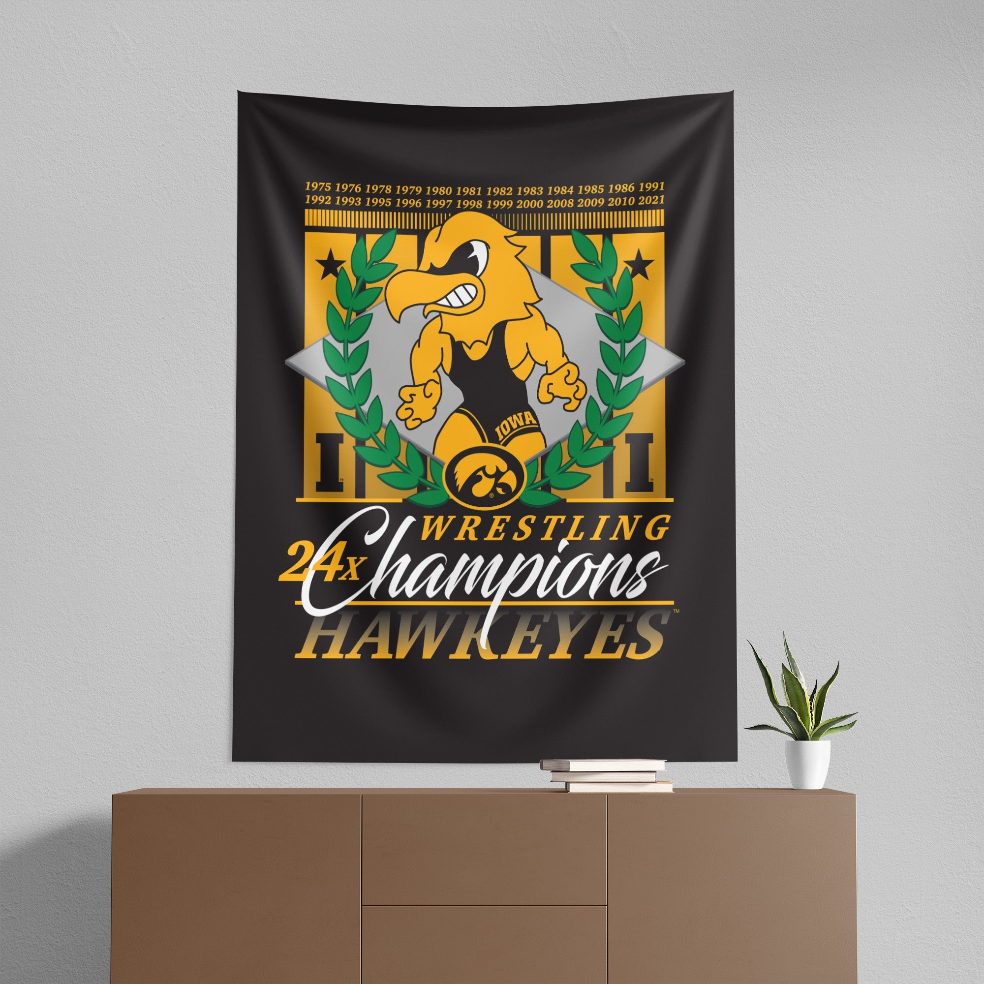 NCAA Iowa Hawkeyes Pinnacle Wall Hanging 50x60 Inches