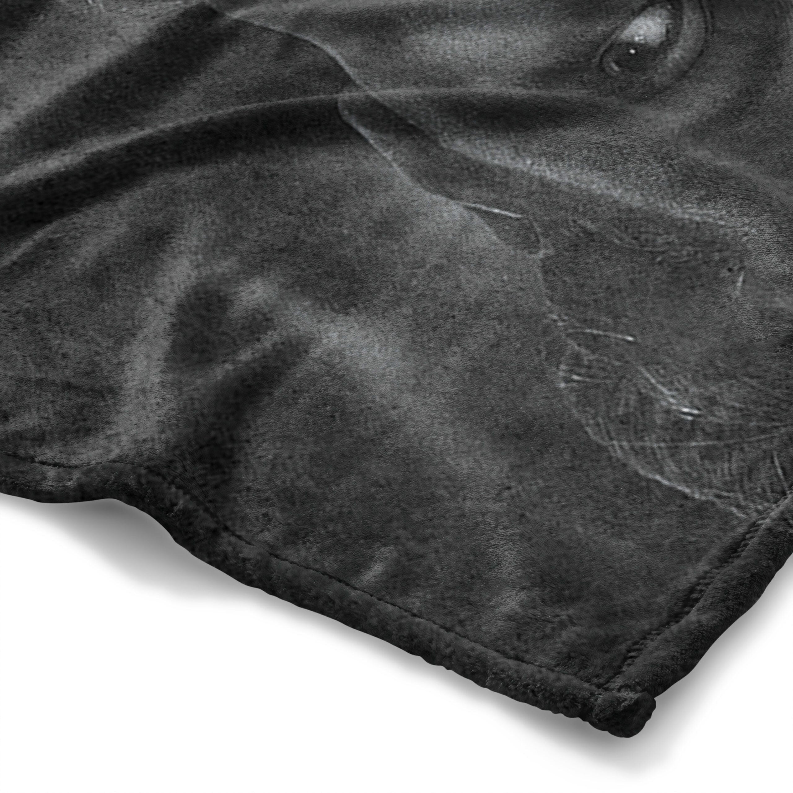 Warner Bros. Game Of Thrones Sansa Season 4 Silk Touch Throw Blanket 50x60 Inches