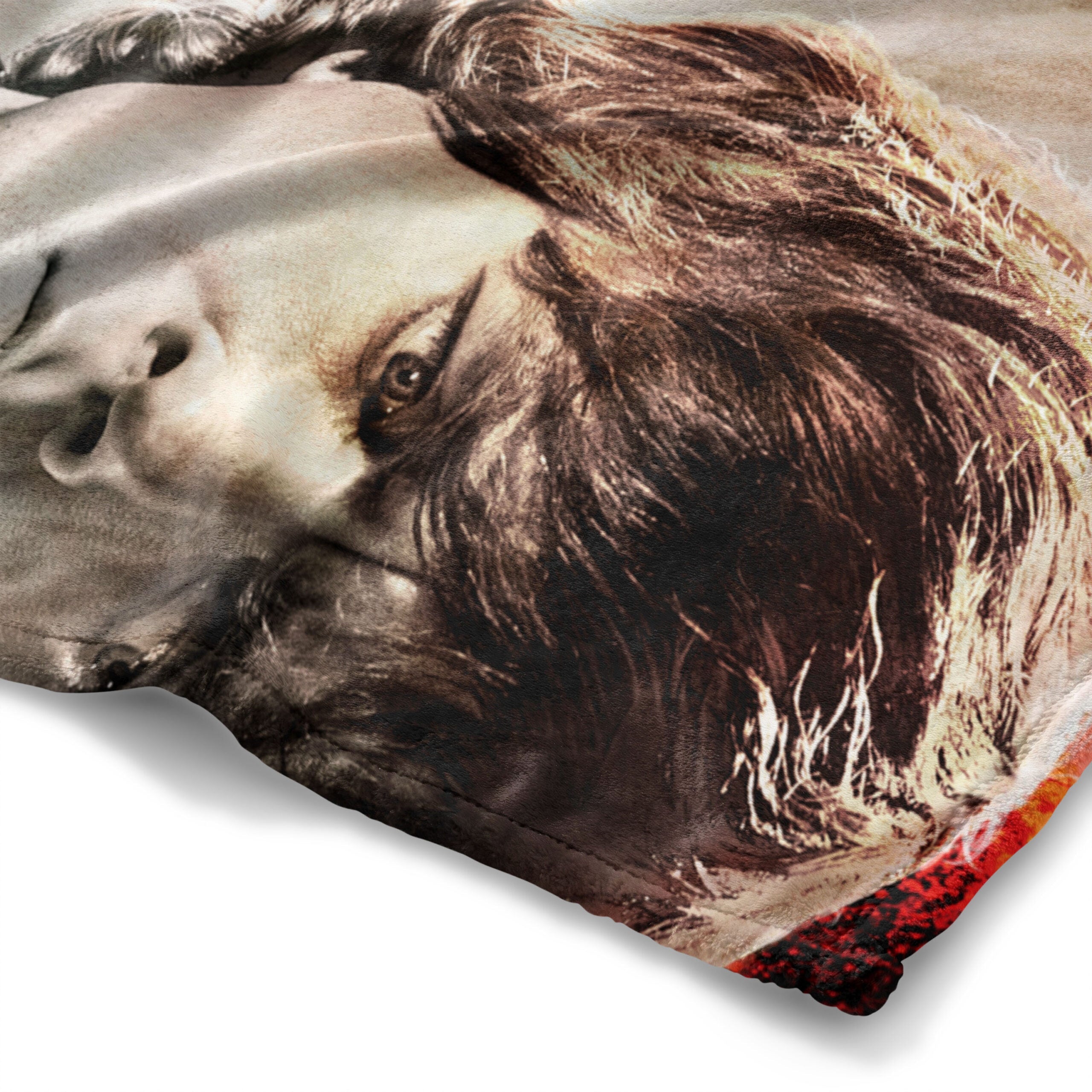 Warner Bros. Game Of Thrones Tyrion Season 2 Silk Touch Throw Blanket 50x60 Inches