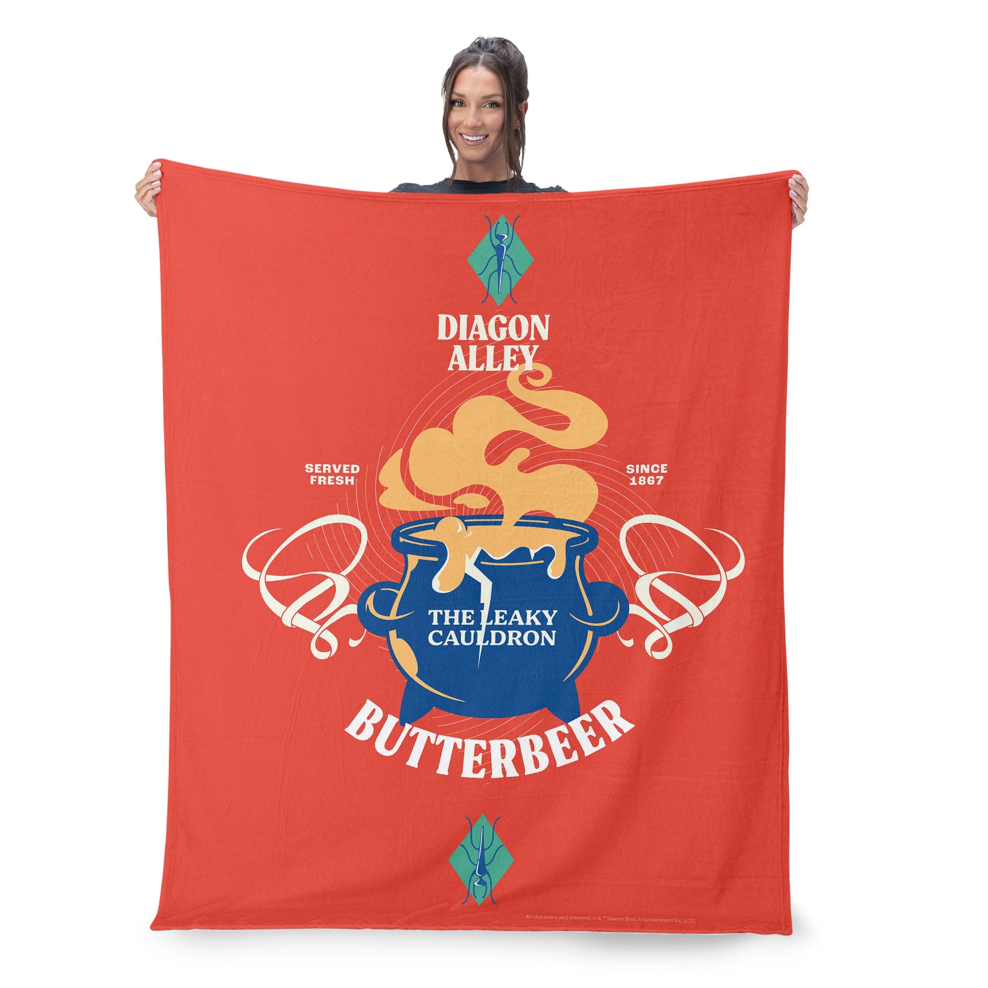 Warner Bros. Harry Potter Leaky Cauldron Silk Touch Throw Blanket 60X80 Inches