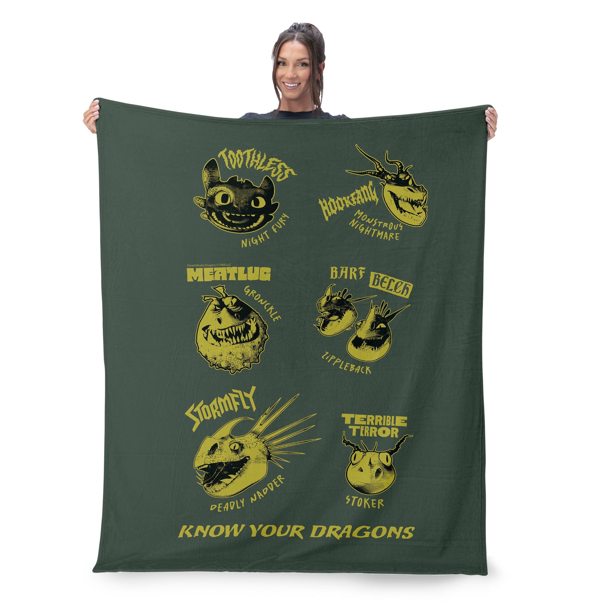 How to Train Your Dragon Know Your Dragons Silk Touch Throw Blanket 50x60 inches