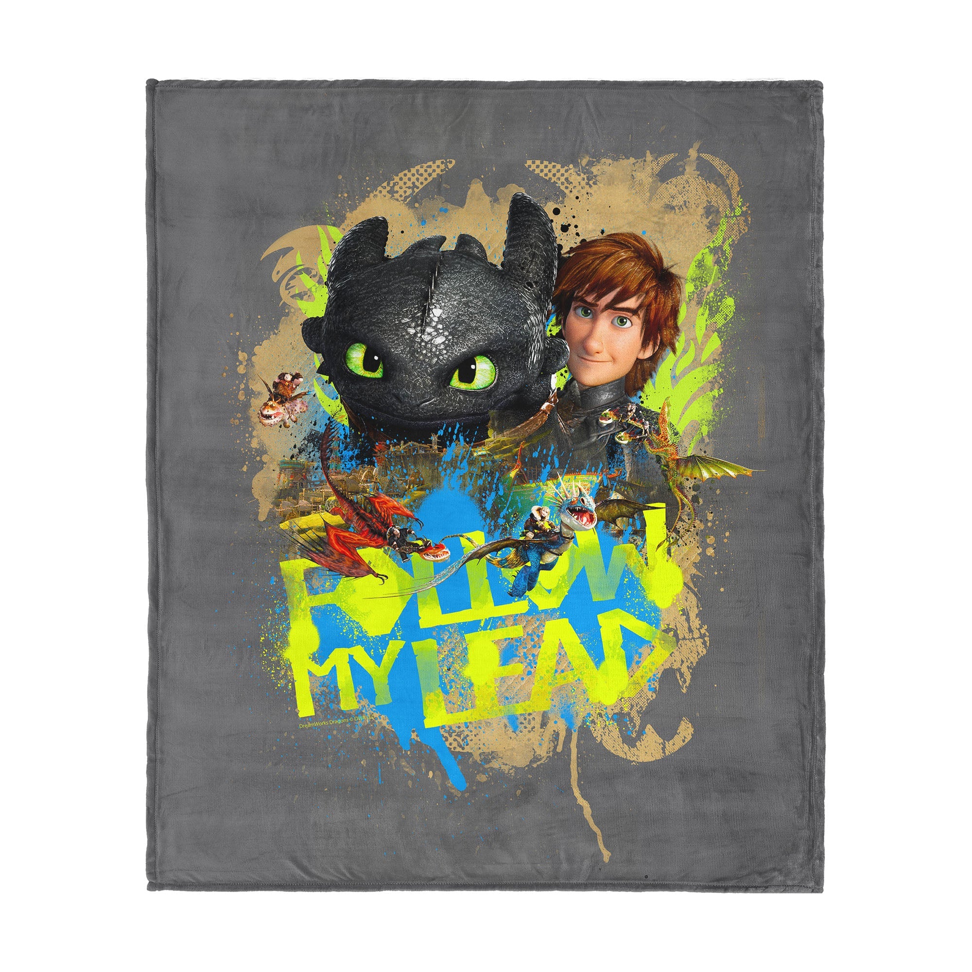 How to Train Your Dragon Follow My Lead Silk Touch Throw Blanket 50x60 inches