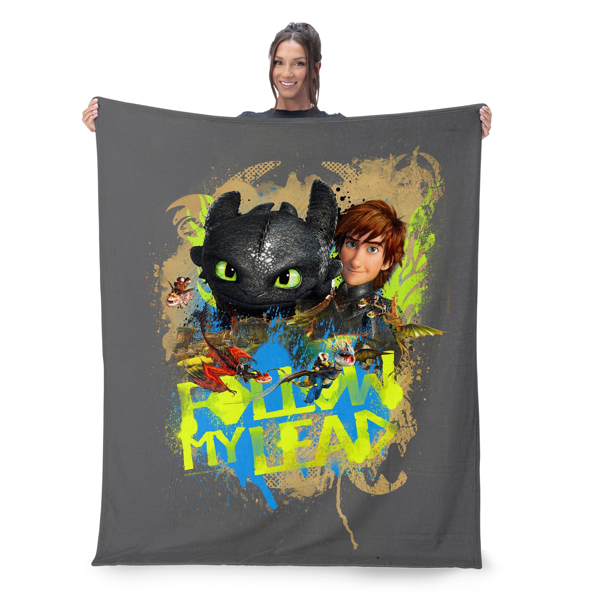 How to Train Your Dragon Follow My Lead Silk Touch Throw Blanket 50x60 inches