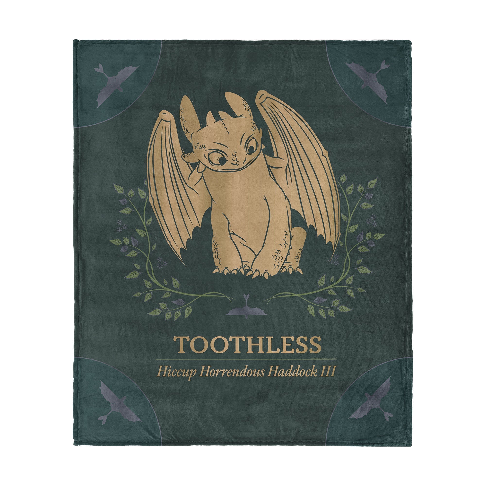 How to Train Your Dragon Hiccup and Toothless Silk Touch Throw Blanket 50x60 inches