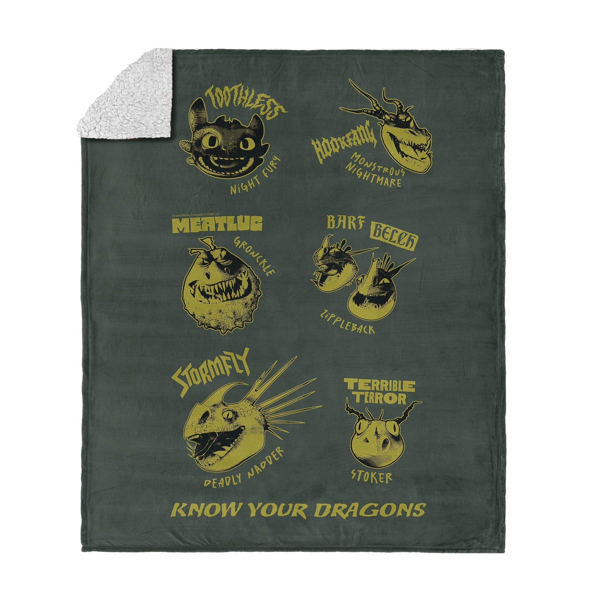 How to Train Your Dragon Know Your Dragons Silk Touch Sherpa Throw Blanket 50¡Á60 inches