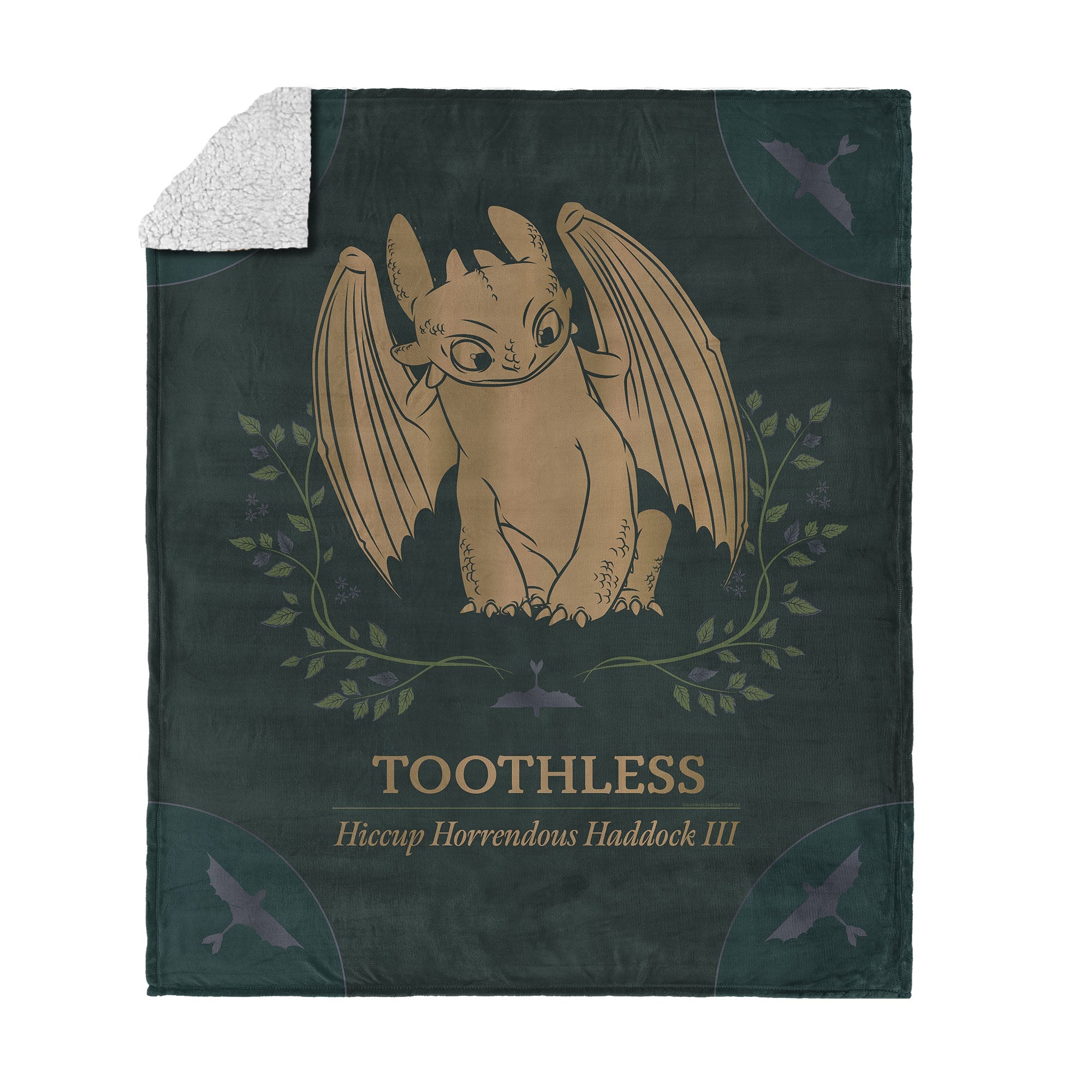 How to Train Your Dragon Hiccup and Toothless Silk Touch Sherpa Throw Blanket 50¡Á60 Inches