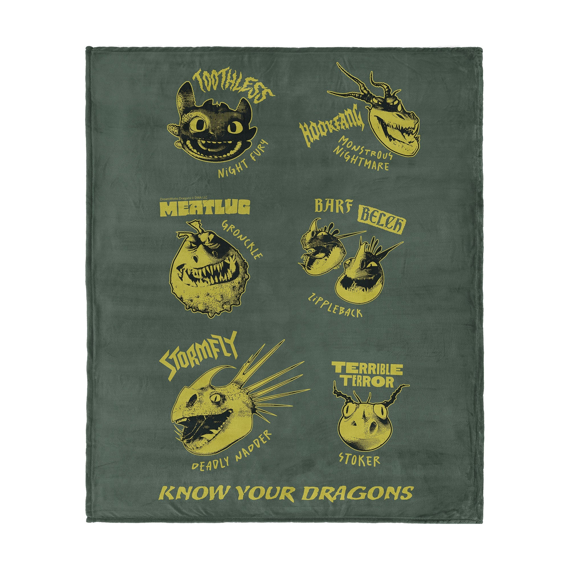 How to Train Your Dragon Know Your Dragons Silk Touch Throw Blanket 60¡Á80 inches