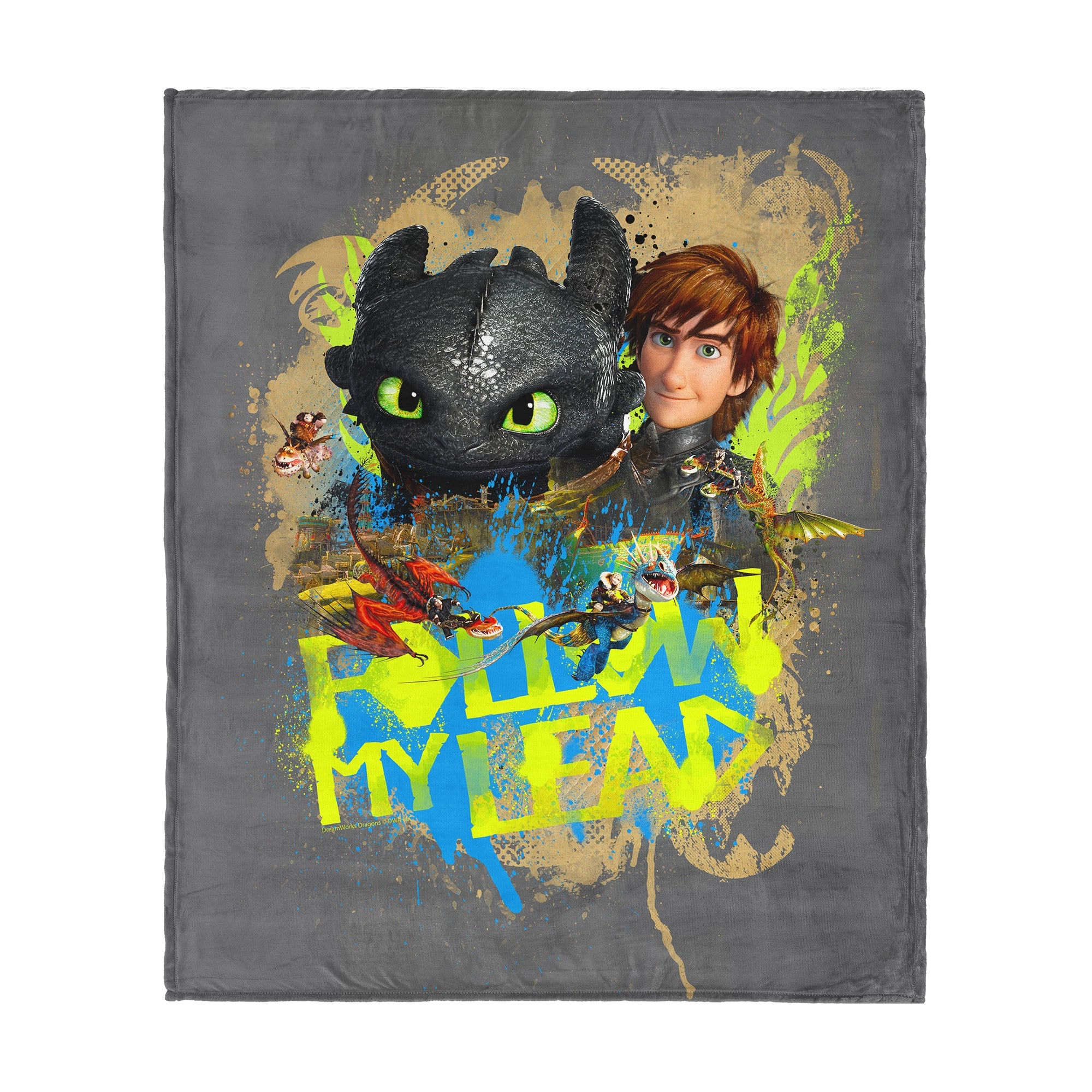 How to Train Your Dragon Follow My Lead Silk Touch Throw Blanket 60¡Á80 inches