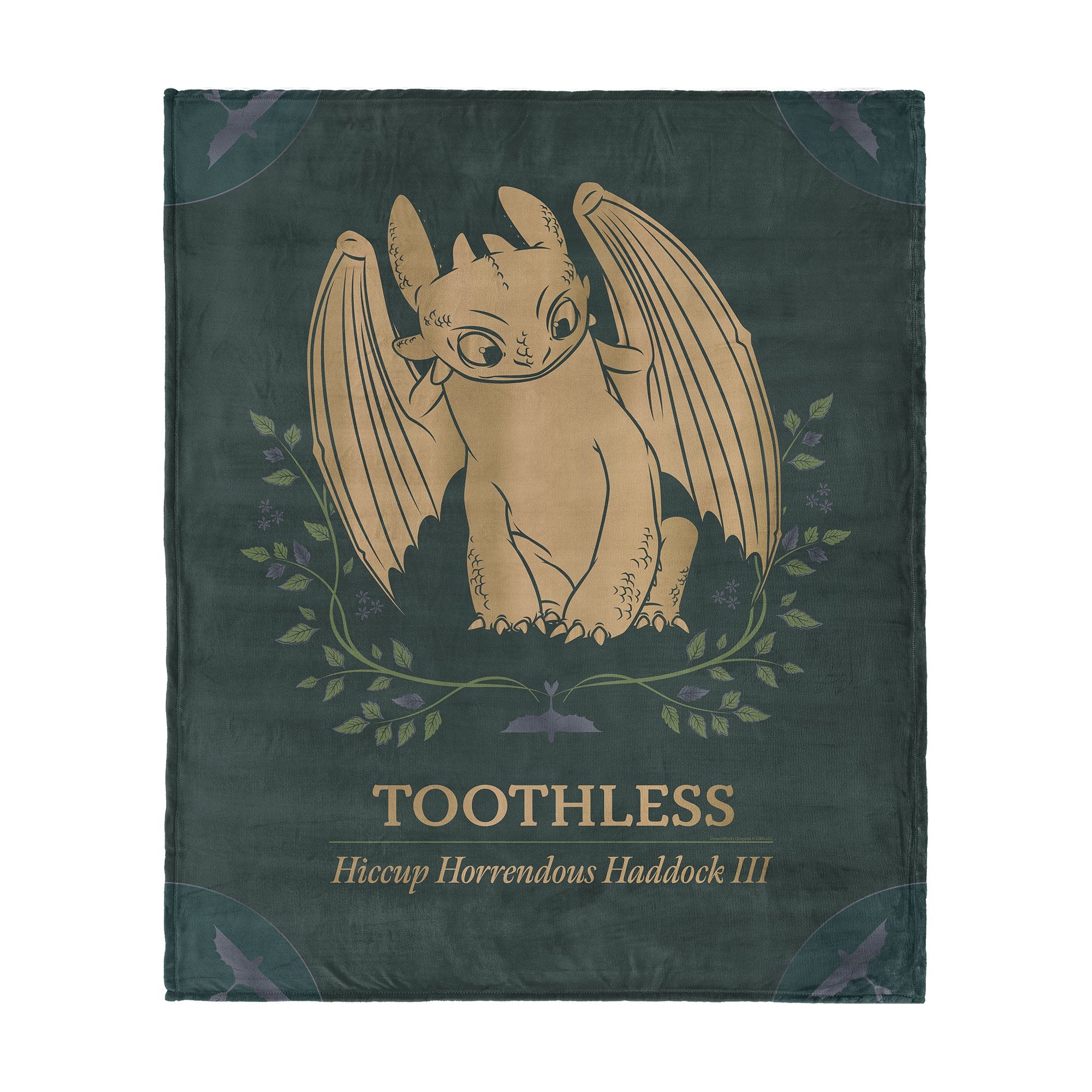 How to Train Your Dragon Hiccup and Toothless Silk Touch Throw Blanket 60¡Á80 inches