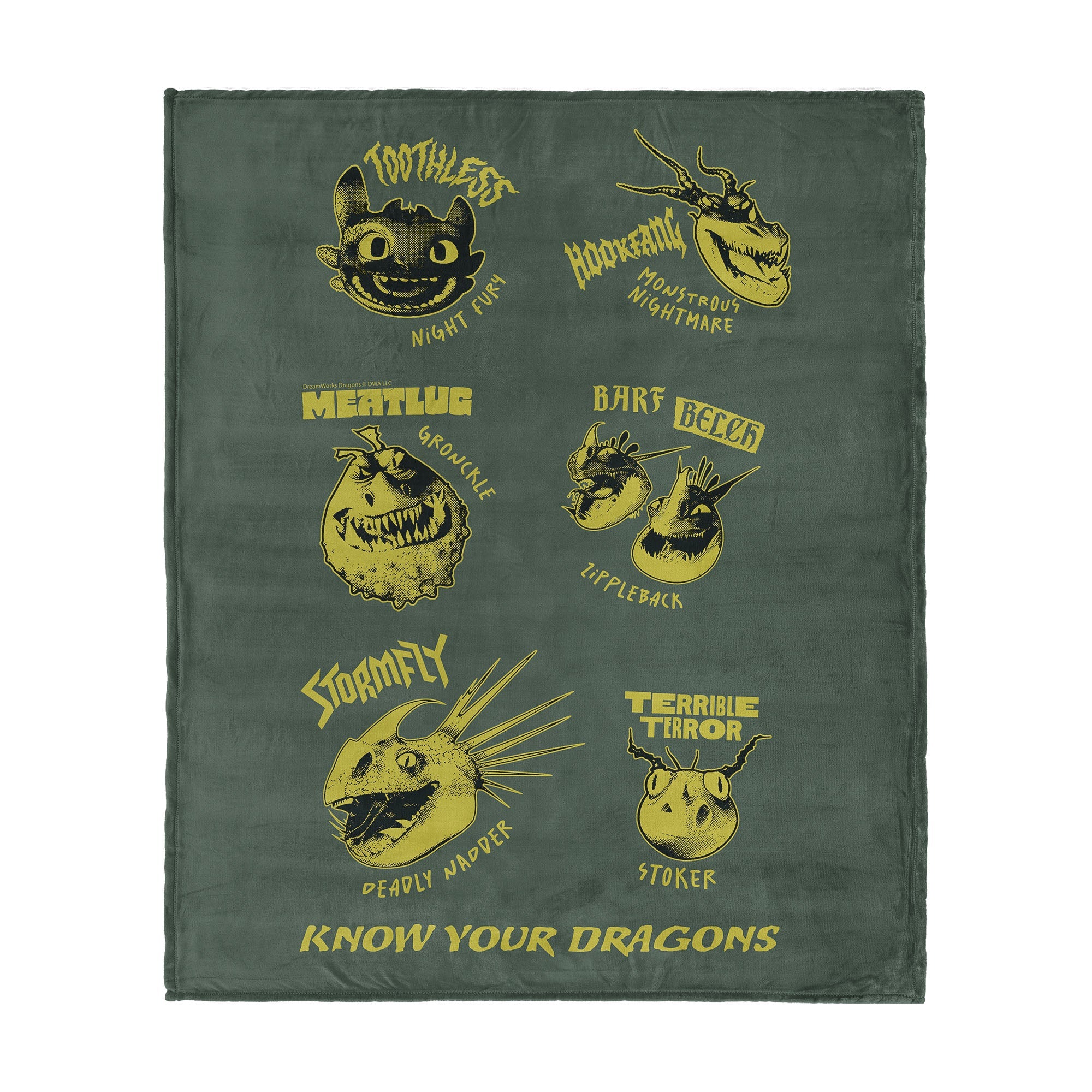 How to Train Your Dragon Know Your Dragons Silk Touch Throw Blanket 40¡Á50 inches