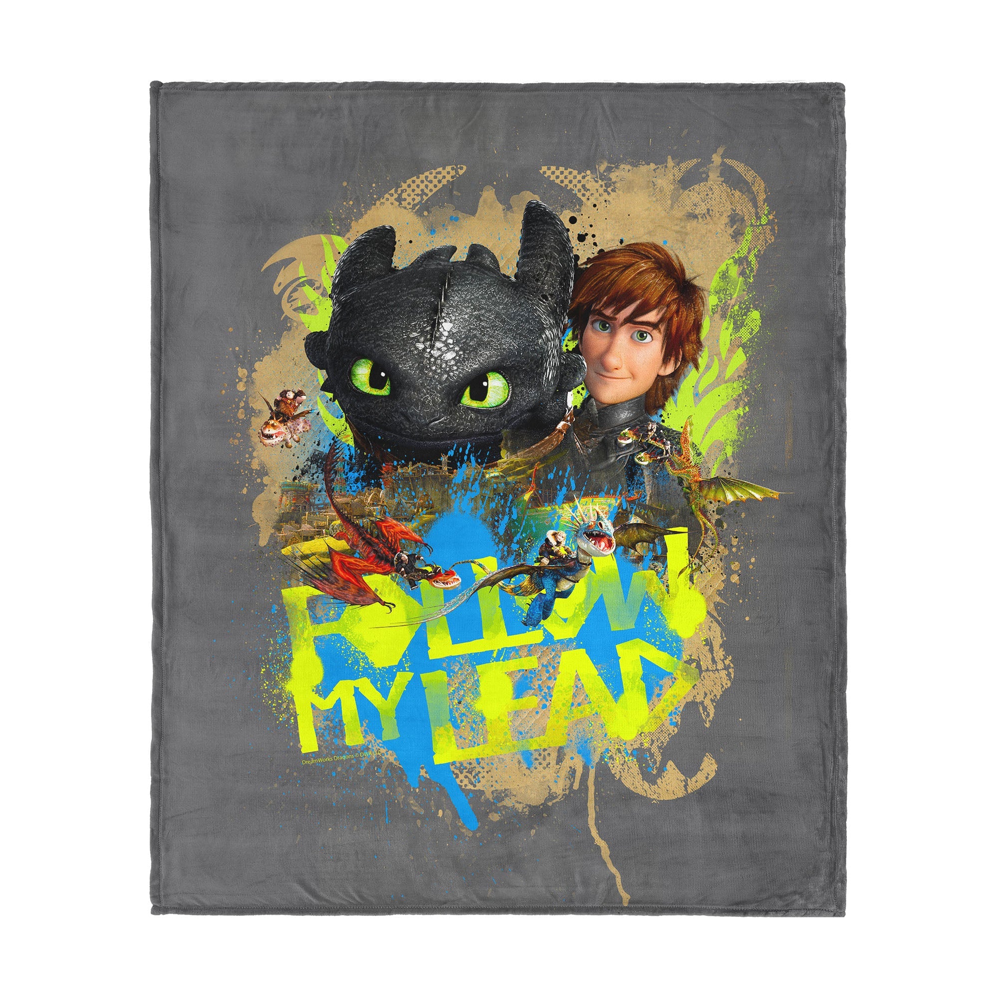 How to Train Your Dragon Follow My Lead Silk Touch Throw Blanket 40¡Á50 inches