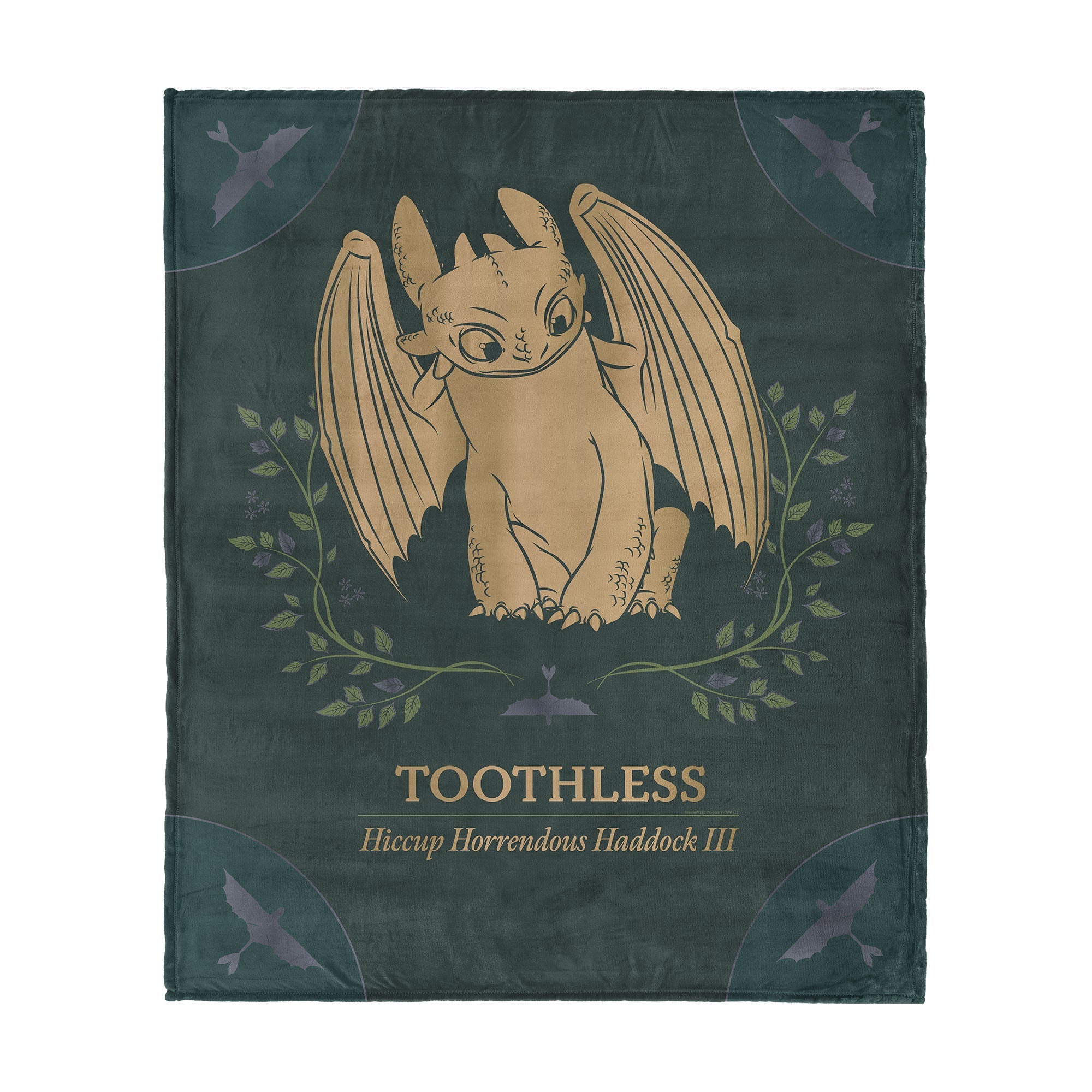 How to Train Your Dragon Hiccup and Toothless Silk Touch Throw Blanket 40¡Á50 inches