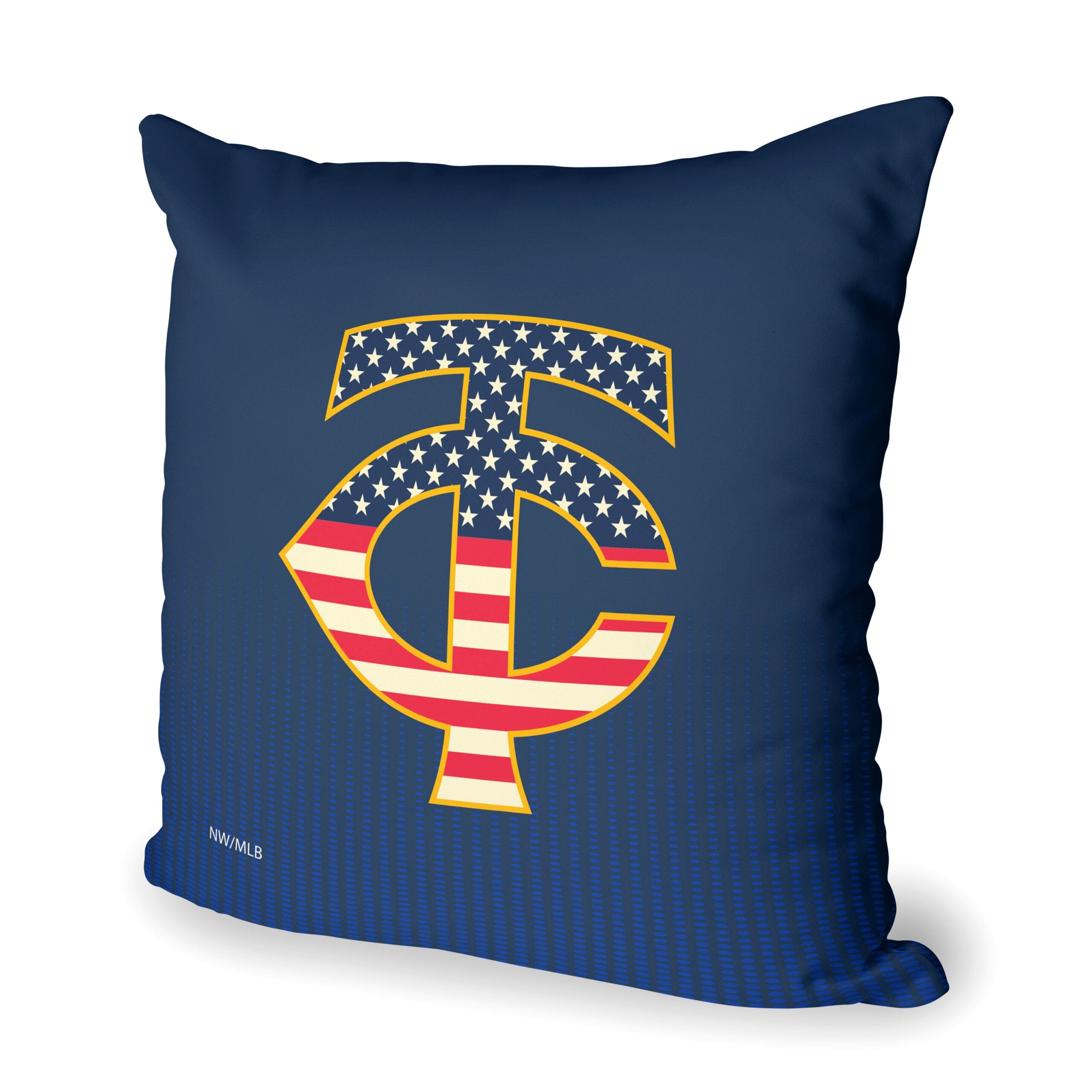 MLB Minnesota Twins Celebrate Series Throw Pillow 18x18 Inches
