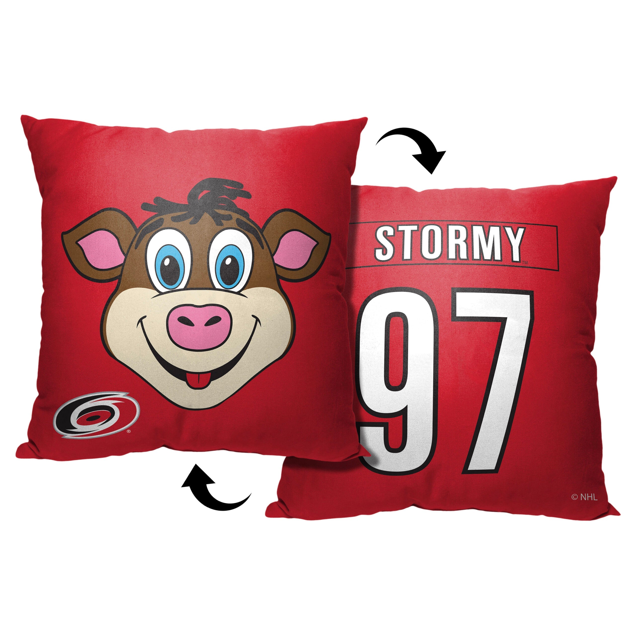 NHL Carolina Hurricanes Mascot Love Throw Pillow 18x18 Inches