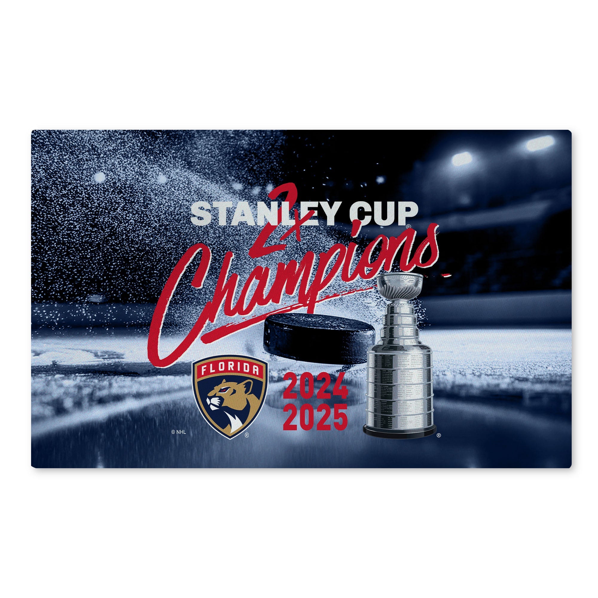 Florida Panthers NHL Champion Washable Rug 20¡Á32 inches