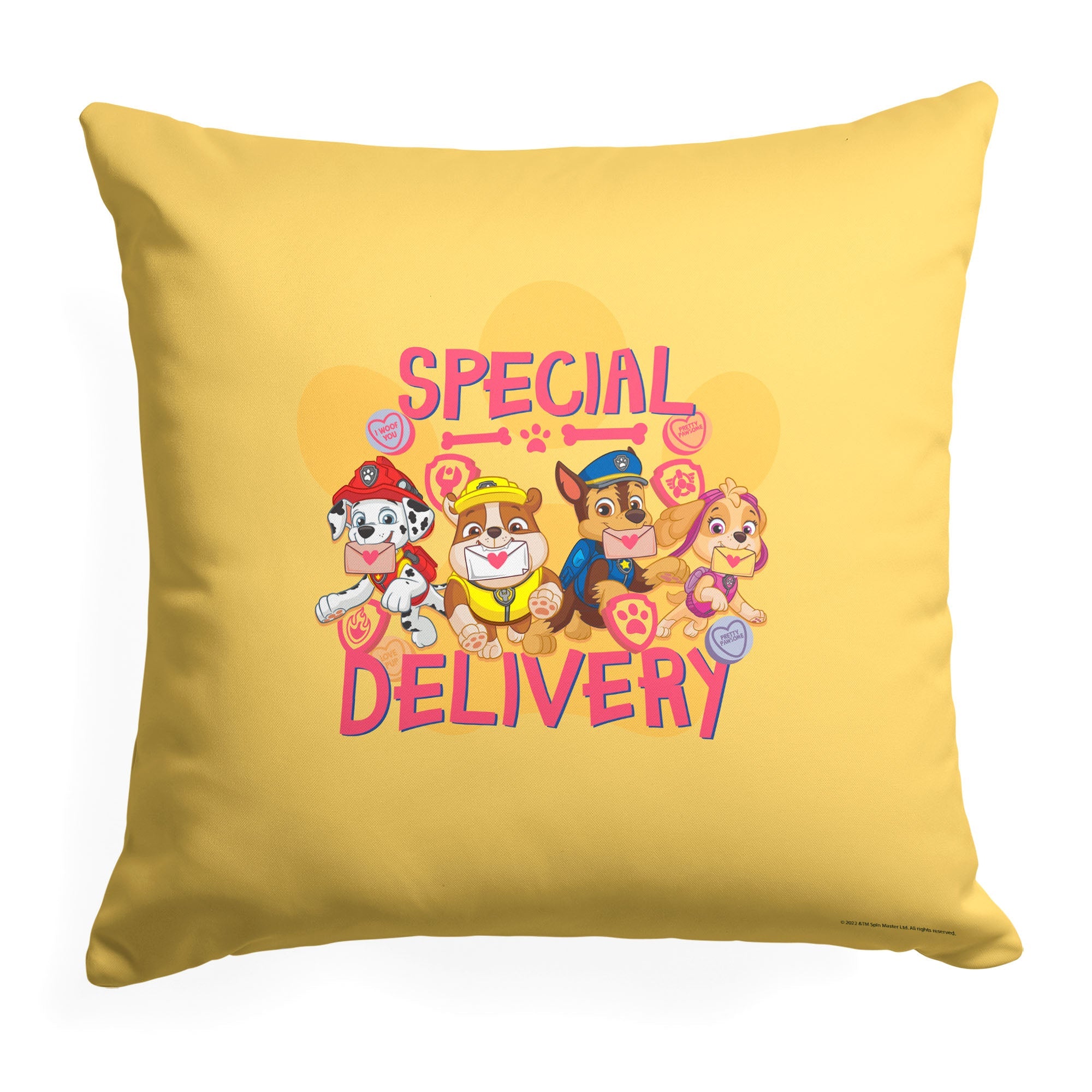 Nickelodeon Paw Patrol Special Delivery Throw Pillow 18x18 Inches