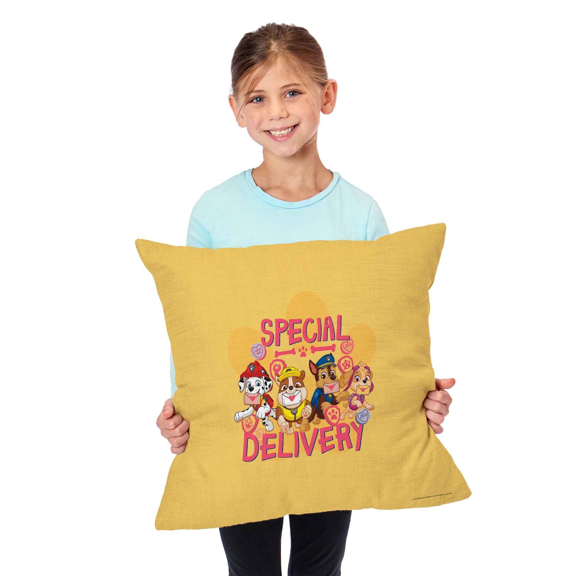 Nickelodeon Paw Patrol Special Delivery Throw Pillow 18x18 Inches