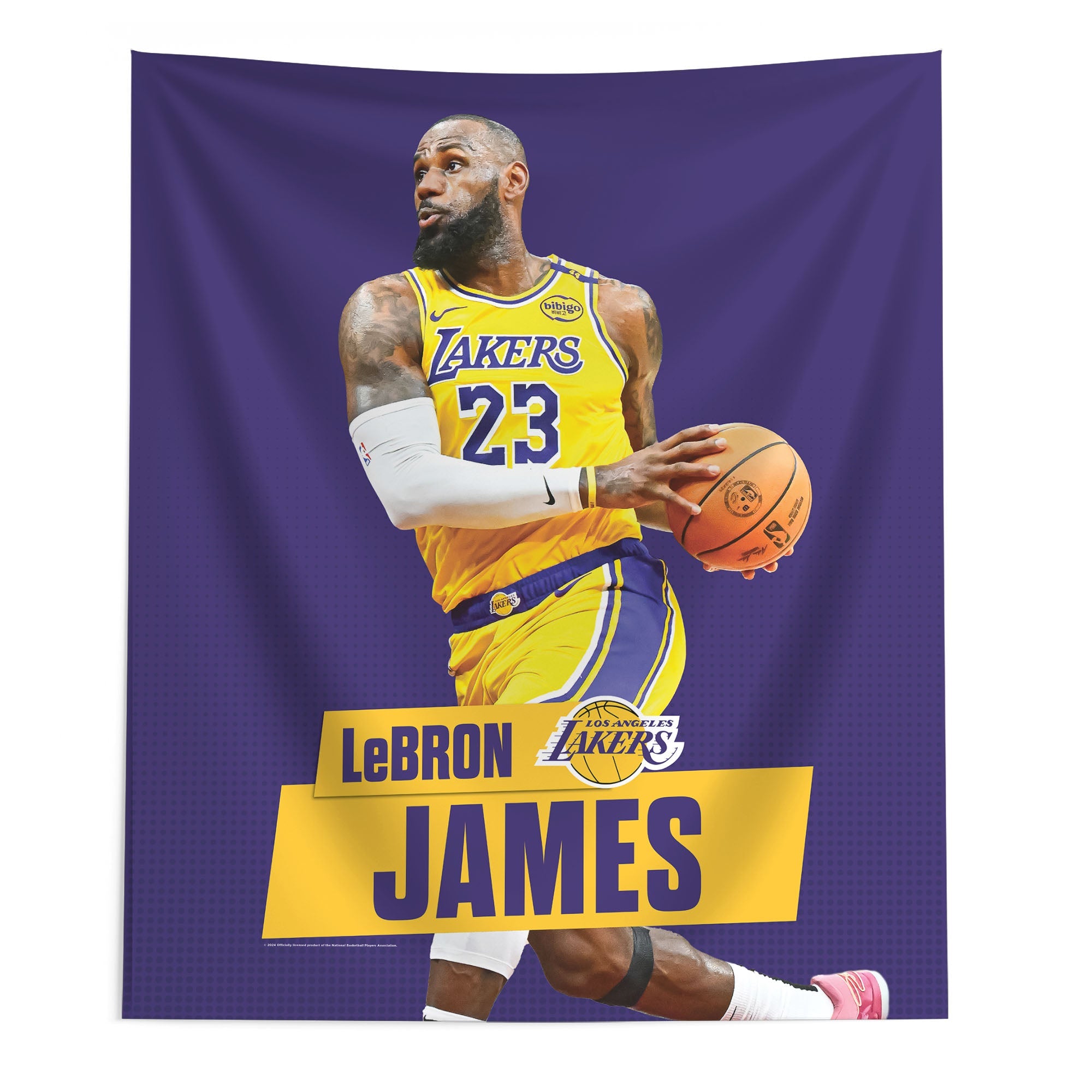 Los Angeles Lakers Lebron James NBA Wall Hanging 50X60 Inches