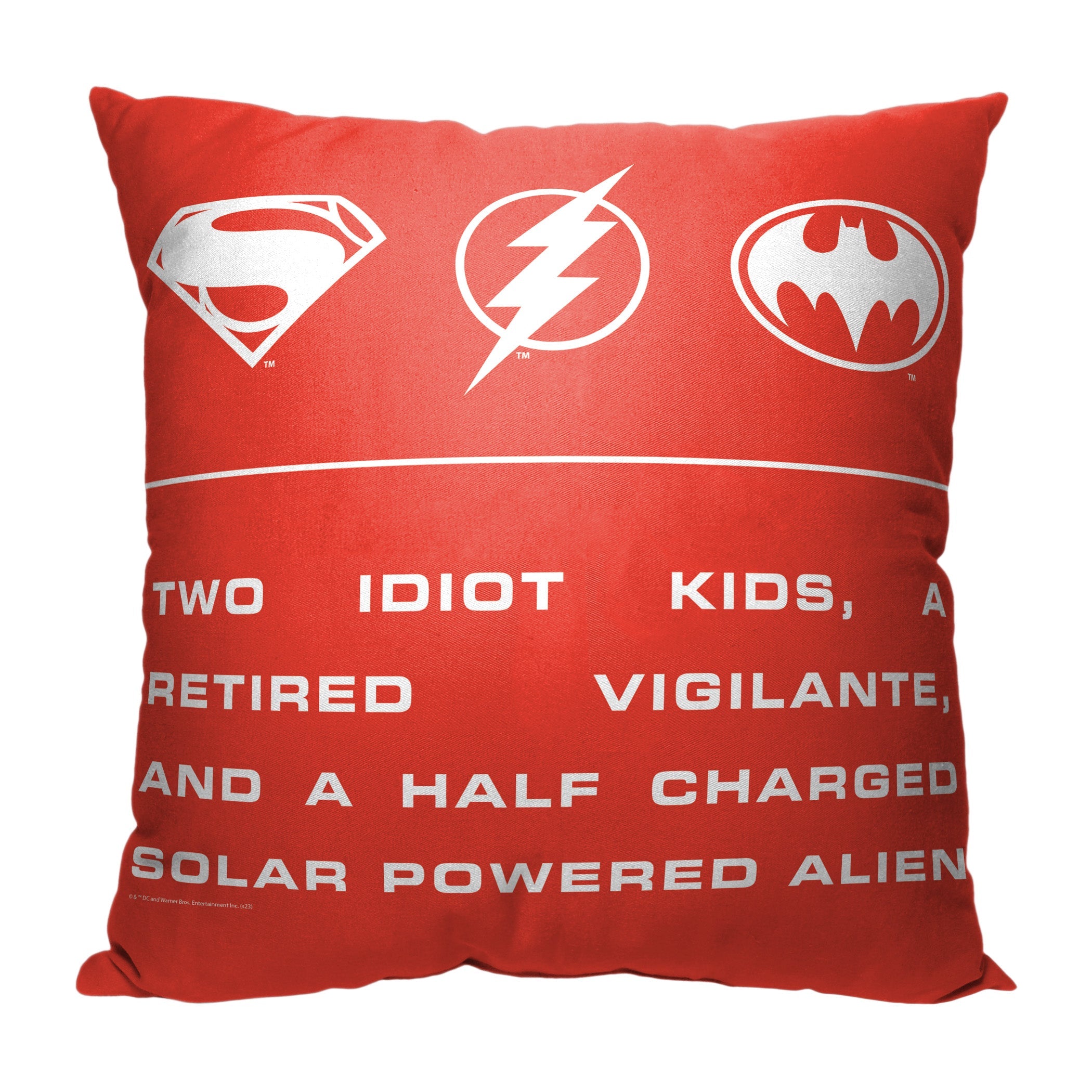 Warner Bros. The Flash Role Call Throw Pillow 18x18 Inches