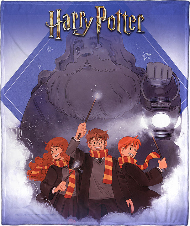 Warner Bros. Harry Potter Guide Us Hagrid Silk Touch Throw Blanket 50x60 Inches
