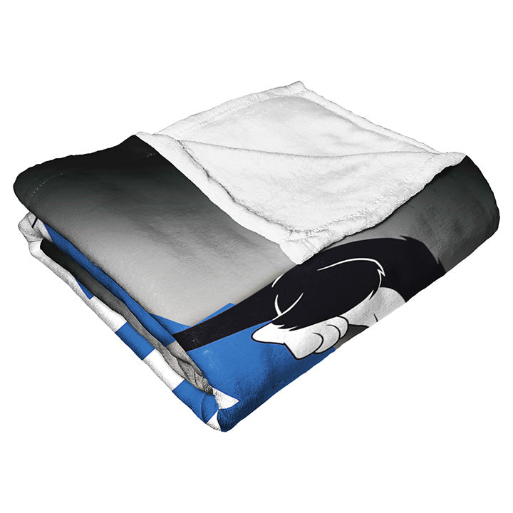 Warner Bros. WB 100 Looney Duo Silk Touch Throw Blanket 50x60 Inches