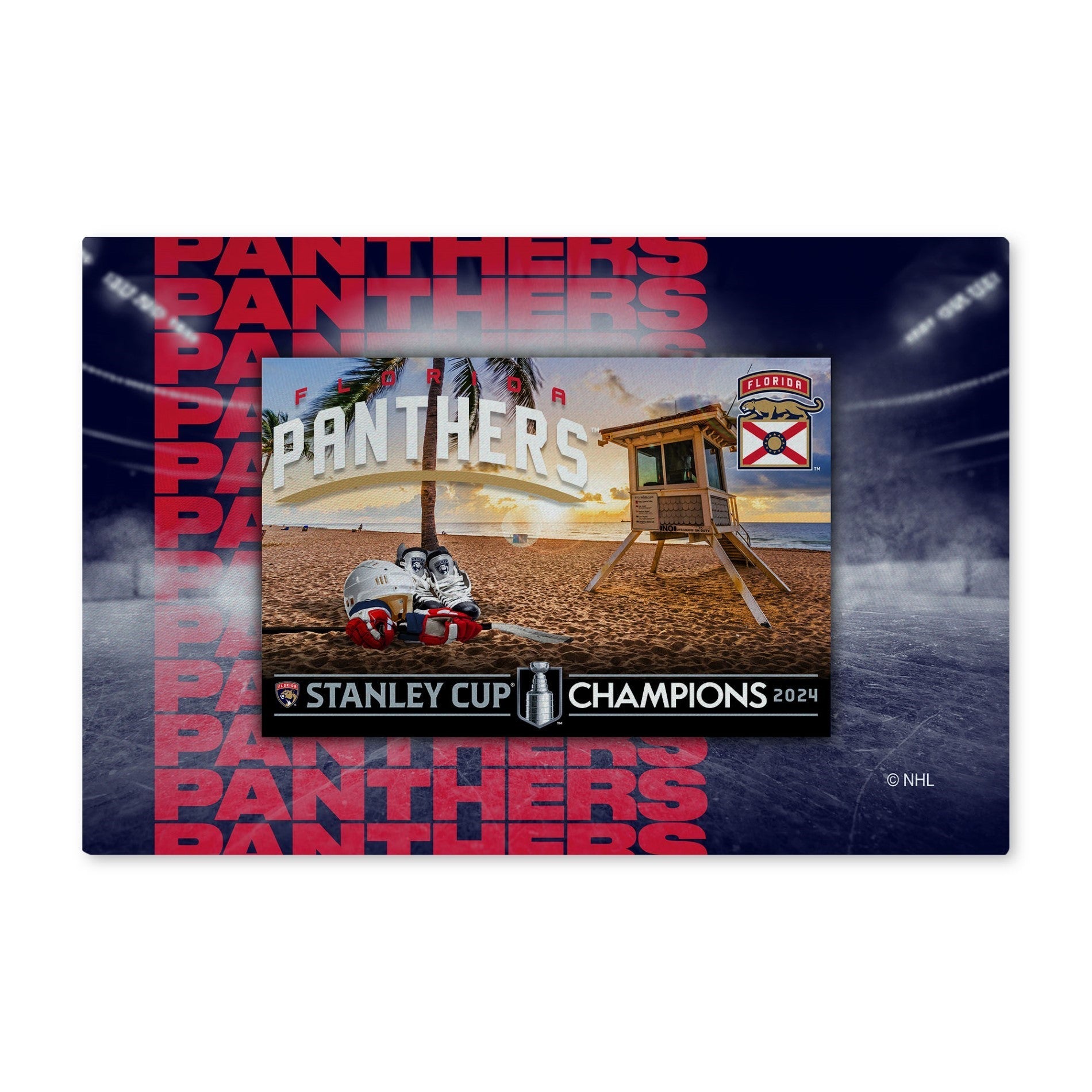 NHL Florida Panthers Repeater Washable Rug 20 x 32 Inches