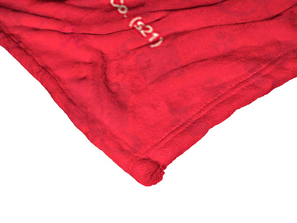 Warner Bros. A Christmas Story The Kid Silk Touch Throw Blanket 50x60 Inches