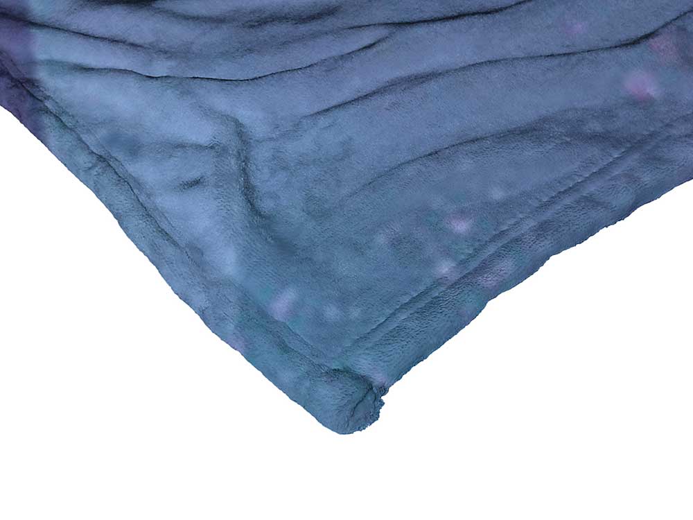 Warner Bros. Batman Batarang Cover Silk Touch Throw Blanket 50 x 60 Inches