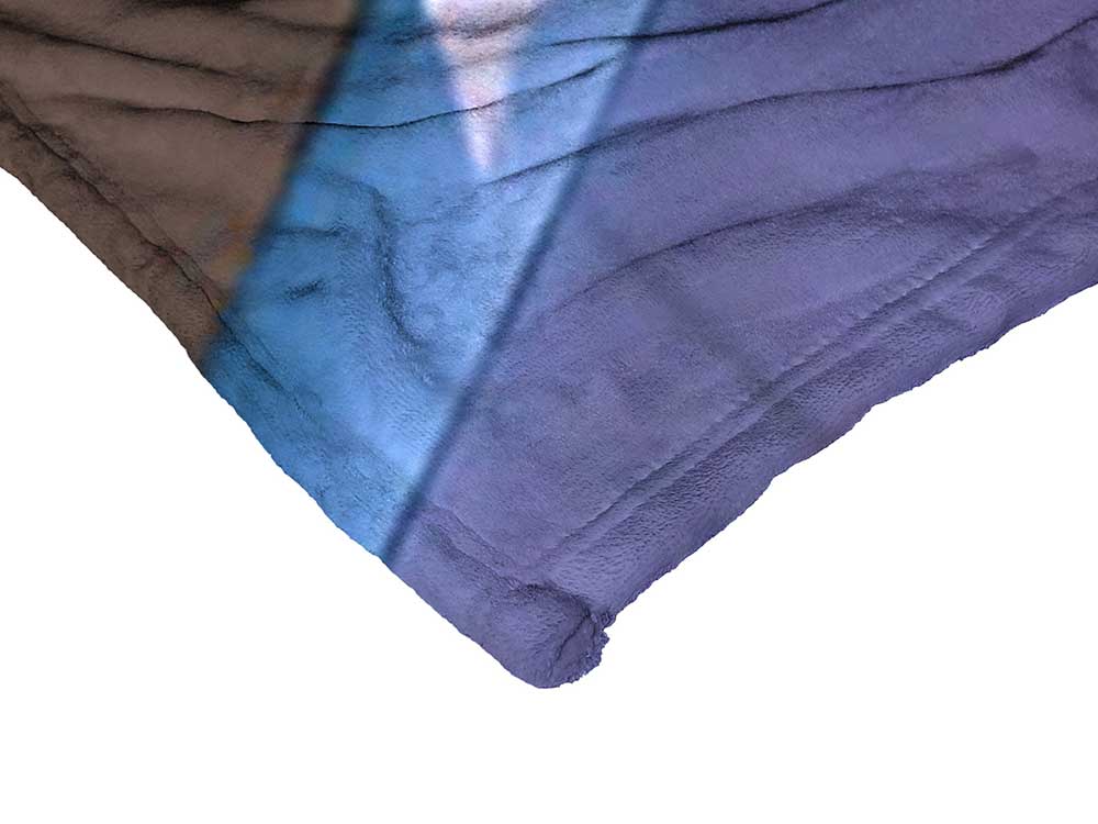 Warner Bros. Batman Batgirl Cover Silk Touch Throw Blanket 50 x 60 Inches