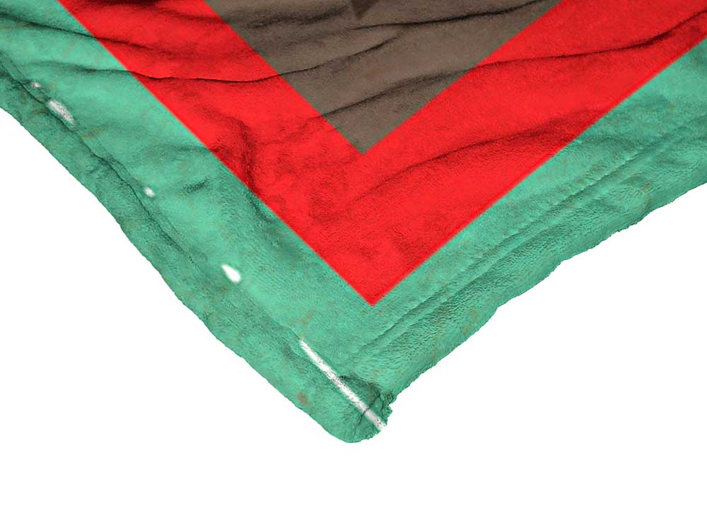 Warner Bros. Wonder Woman Wonder Parent Silk Touch Throw Blanket 50x60 Inches