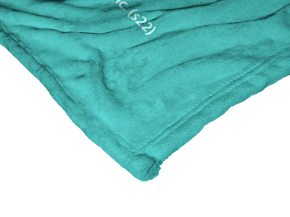 Warner Bros. Elf Best Coffee Silk Touch Throw Blanket 50x60 Inches