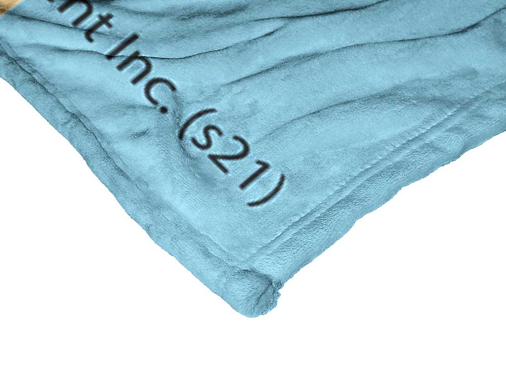 Warner Bros. Looney Tunes Technicolor Tunes Silk Touch Throw Blanket 50x60 Inches