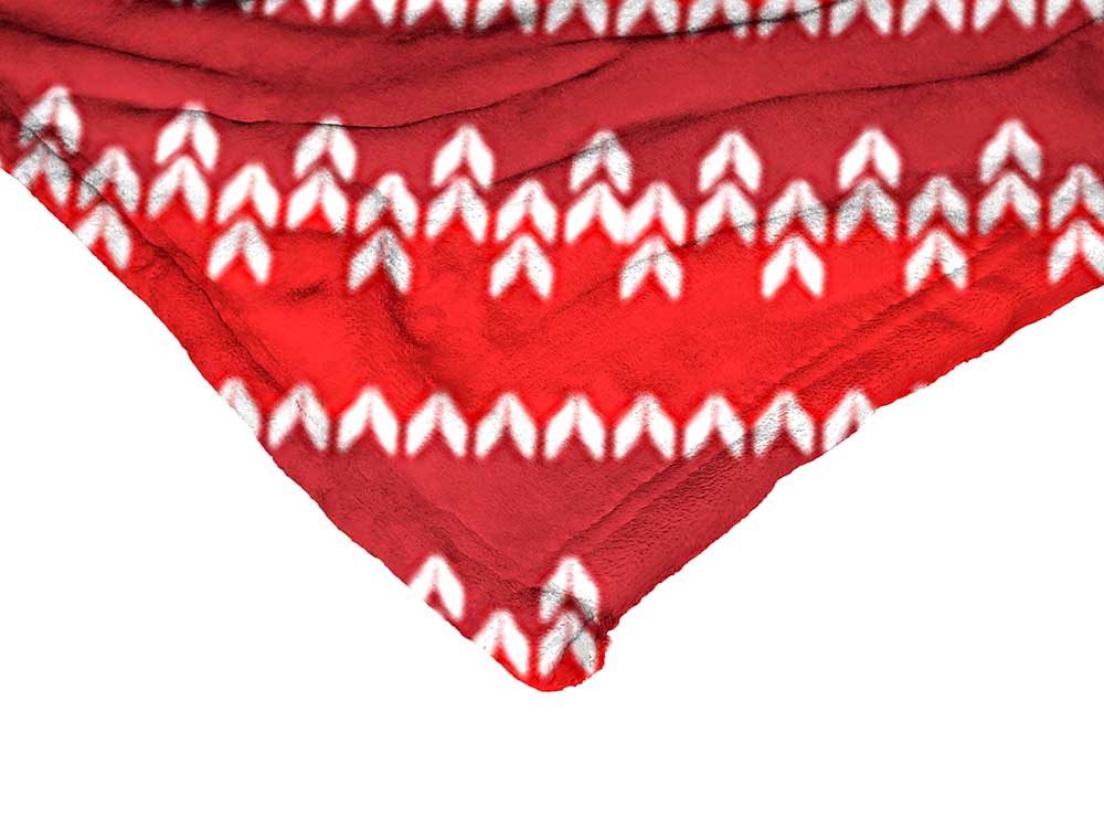 Nickelodeon Nick Rewind Ren And Stimpy Crazy About Christmas Silk Touch Throw Blanket 50x60 Inches