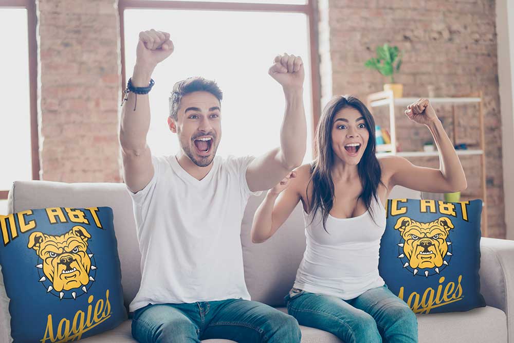 NCAA North Carolina A&T Aggies Alumni Throw Pillow 18x18 Inches